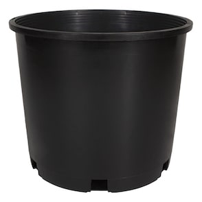 5 Gallon Premium Squat Injection Nursey Pot Gal - USA