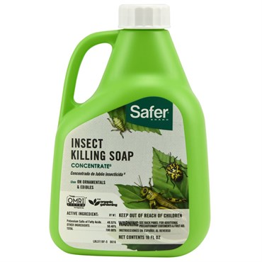 Safer® Brand Insect Killing Soap - 16oz - Concentrate - OMRI Listed®