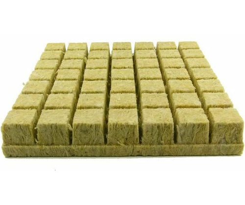 Grodan Stone wool A-OK Starter Plugs 36/40 6/15 Starter Cubes, 1.5