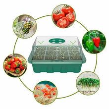 Load image into Gallery viewer, 12 Nursery Pots Mini Greenhouse 12 Compartments - Indoor Greenhouse Propagation Greenhouse