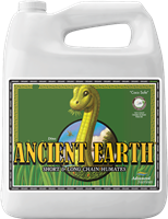 Ancient Earth 4L Organic