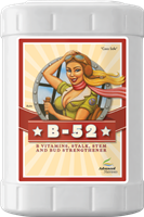 B-52 23L