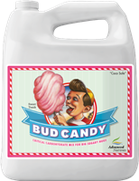 Bud Candy 4L