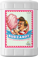 Bud Candy 23L