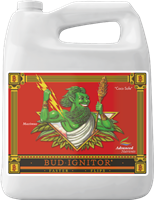 Bud Ignitor 4L