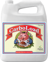 Liquid Carboload 4L
