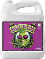 Big Bud 4L Organic