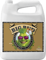 Big Bud Coco 4L