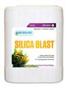 Silica Blast 5 gal