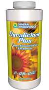 Floralicious Plus 16 oz