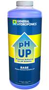 pH Up Base Quart