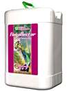 Flora Nectar Fruit-n-Fusion Sweetener - 6 gal