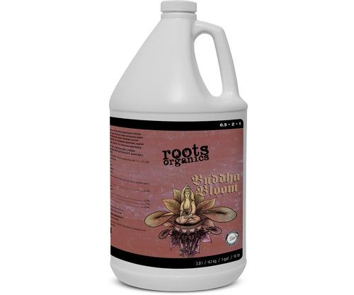 Buddha Bloom 1 gal